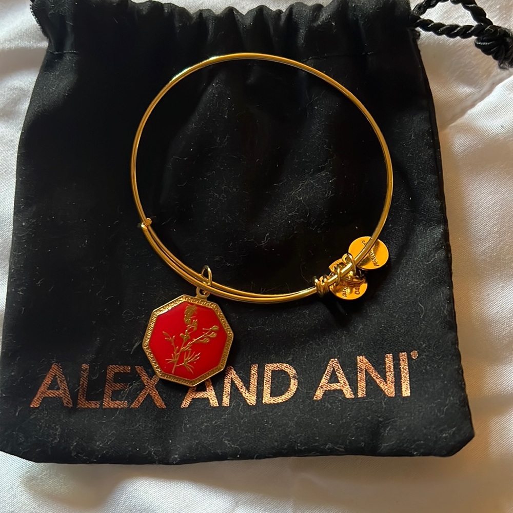 Alex and Ani bracelet
